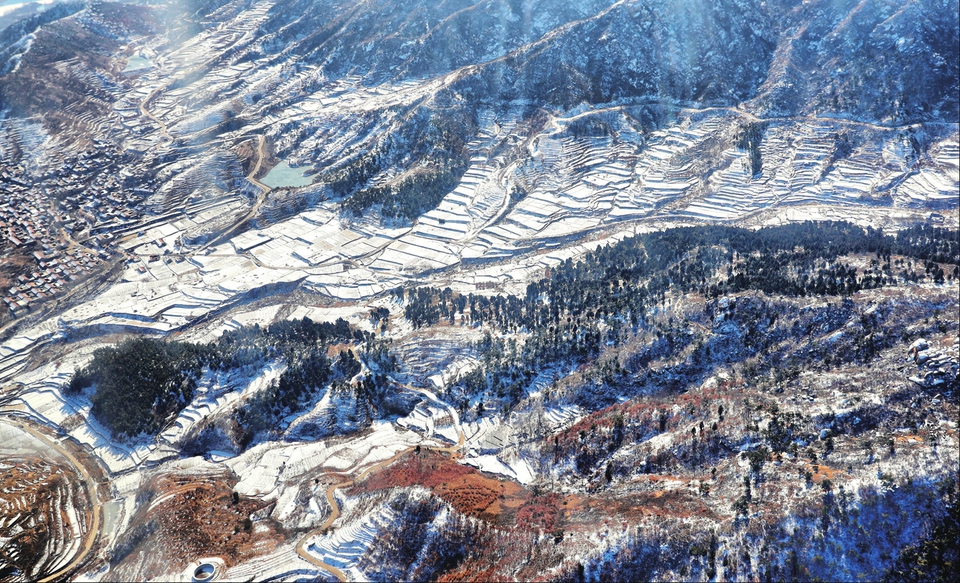雪后南山 分外妖娆
