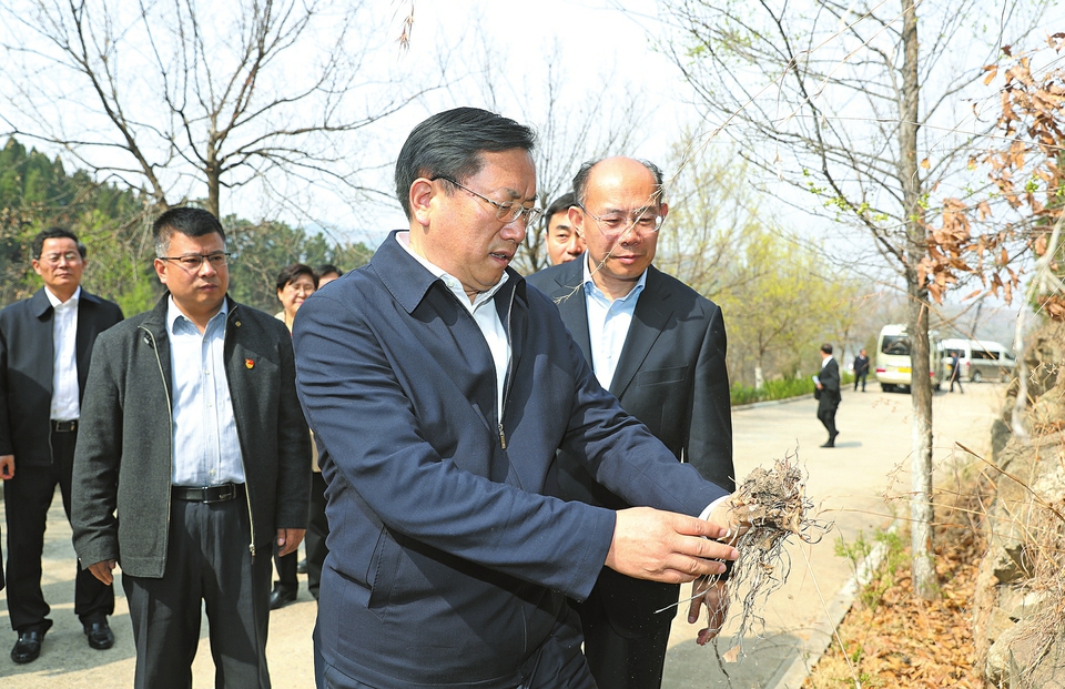 王忠林调研督导森林防火工作时强调 思想上高度重视 行动上坚决有力全力以赴做好春季森林防火工作