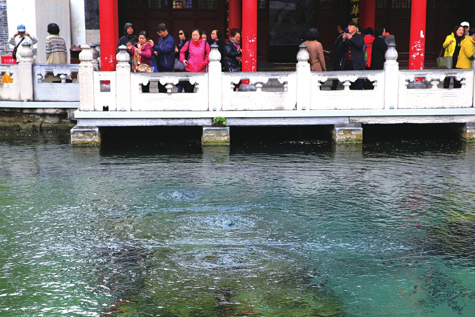 春雨助力 趵突泉水位回升