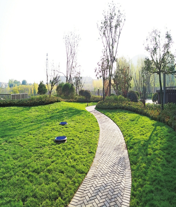 5项扶持政策助推我市绿色建筑发展 将来，你住的房子会更节能更环保