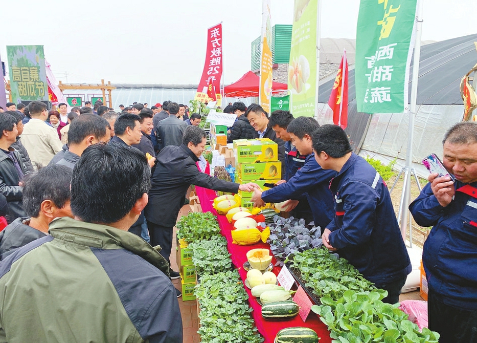 章丘区第十届高官寨甜瓜节开幕 高官寨:打造"甜蜜"农业特色产业样板