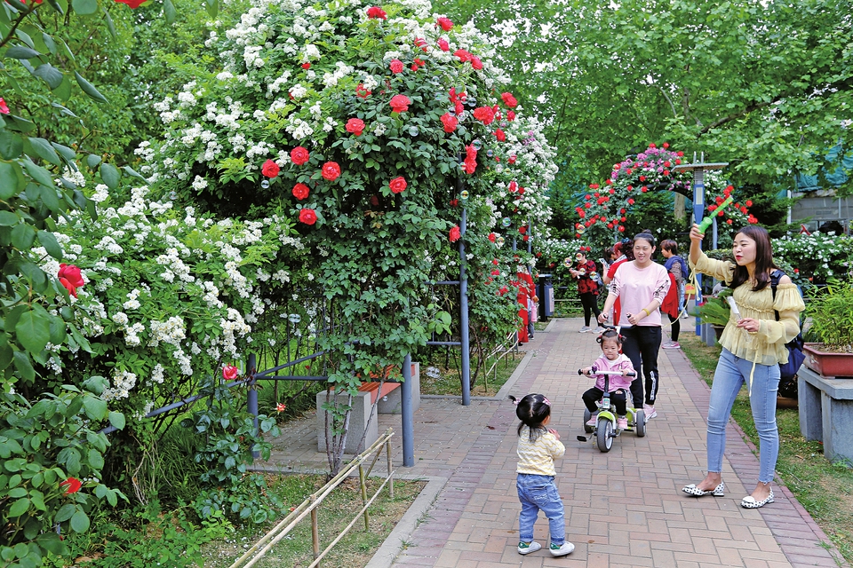 实现绿城、花城、泉城三城共辉 生活在济南杠赛咧！