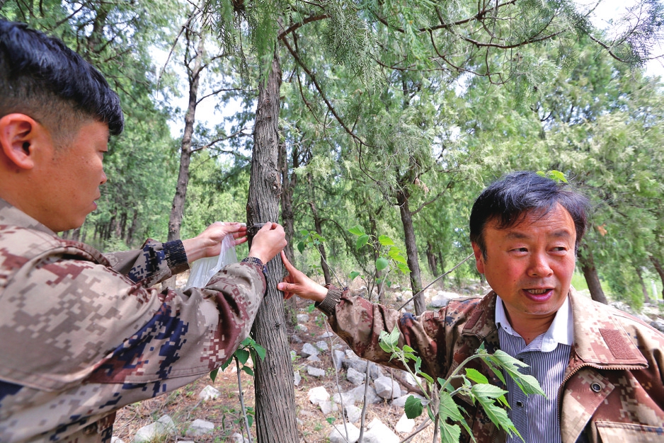 视觉：围剿天牛的虫虫特种队