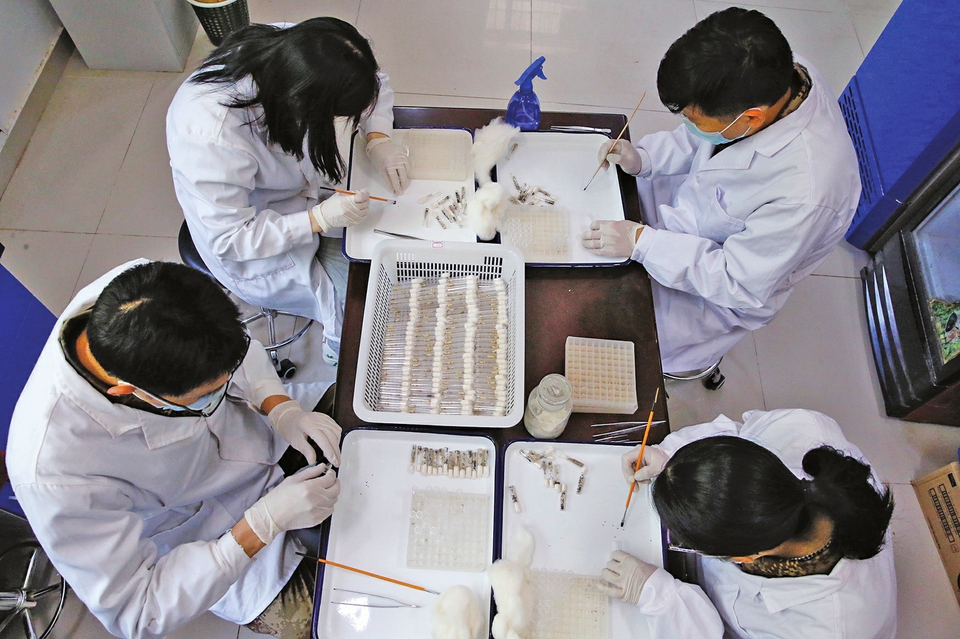 视觉：围剿天牛的虫虫特种队