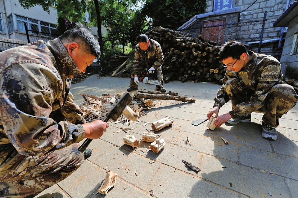 视觉：围剿天牛的虫虫特种队