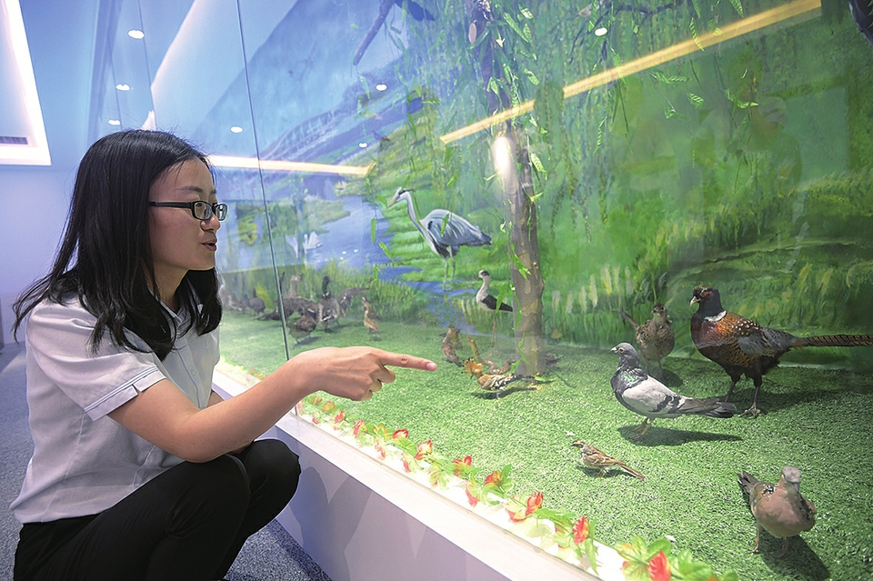 子承父业机场驱鸟 济南遥墙机场“驱鸟岗”已27年