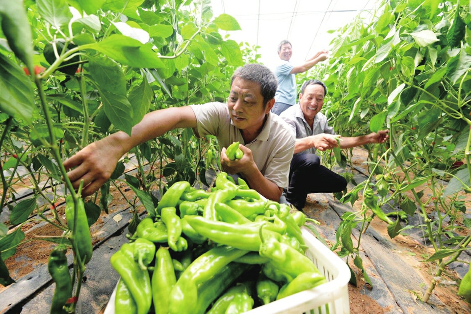 雪野镇邢家峪村把强村富民作为乡村振兴的突破口——小山村建起现代农业旅游综合体