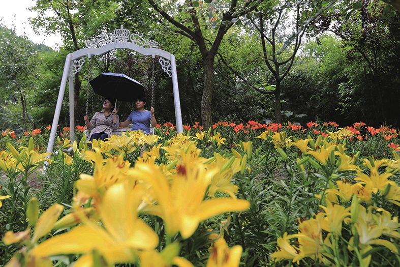 红叶谷里赏美景 休闲放松有意境