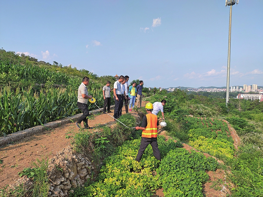 营商环境无小事 厚植沃土在细节