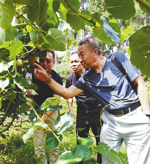 为农民送去新理念和科技产品 张延军：用生物技术为湘西培育健康农业