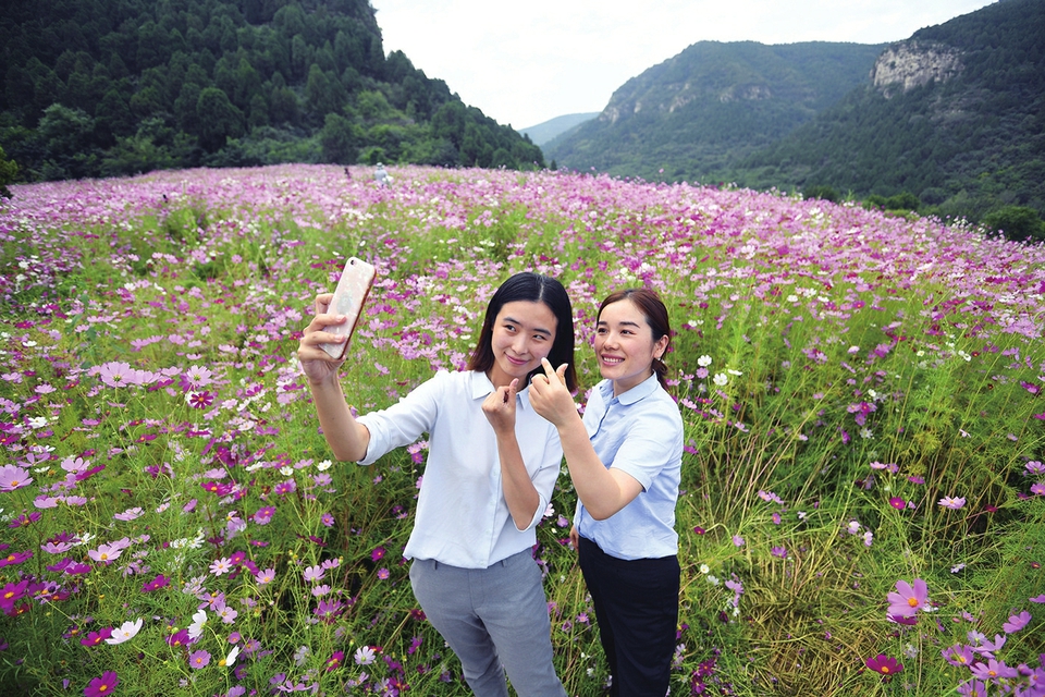 東南二環(huán)延長線和奧體文博片區(qū)渣土山改造“變廢為寶” 你看，那一片花海