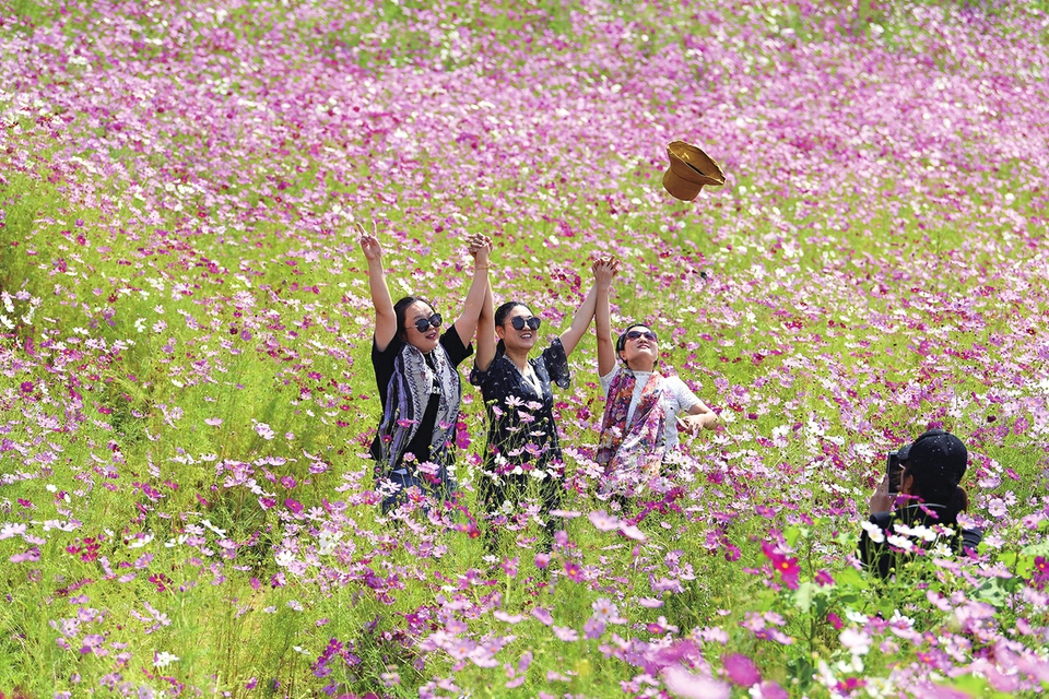 東南二環(huán)延長線和奧體文博片區(qū)渣土山改造“變廢為寶” 你看，那一片花海