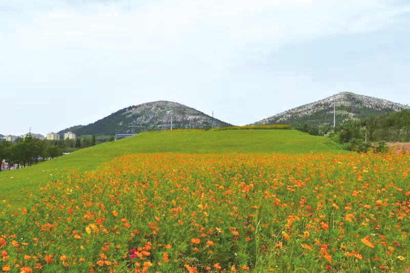 建筑垃圾整治 长清贡献方案