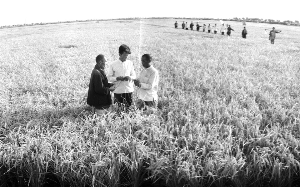 工业立市高歌奋进——社会主义革命和建设时期展现勃勃生机