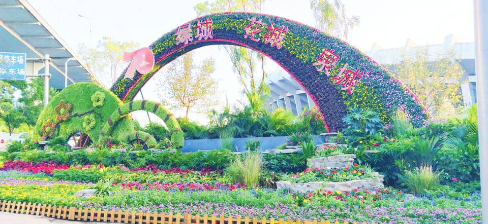 花样泉城喜迎国庆 千万盆鲜花扮靓泉城为祖国庆生