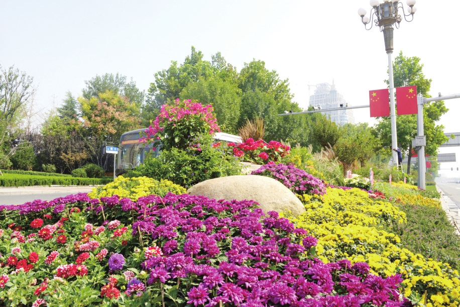 花样泉城喜迎国庆 千万盆鲜花扮靓泉城为祖国庆生