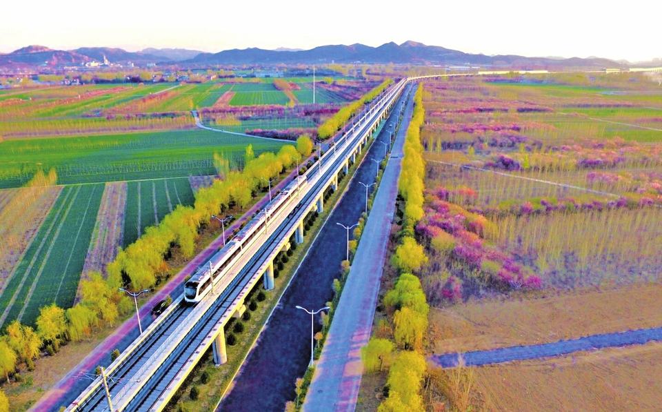 绽放“大城之梦”——拉开发展框架提升城市品质