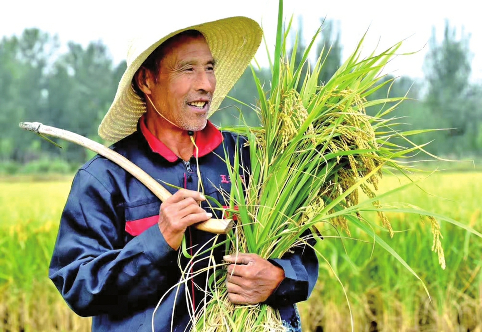 济南市农业农村局建机制、兴产业、树样板 奋力书写乡村振兴壮丽篇章