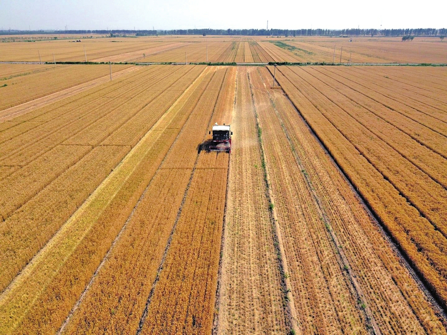 济南市农业农村局建机制、兴产业、树样板 奋力书写乡村振兴壮丽篇章