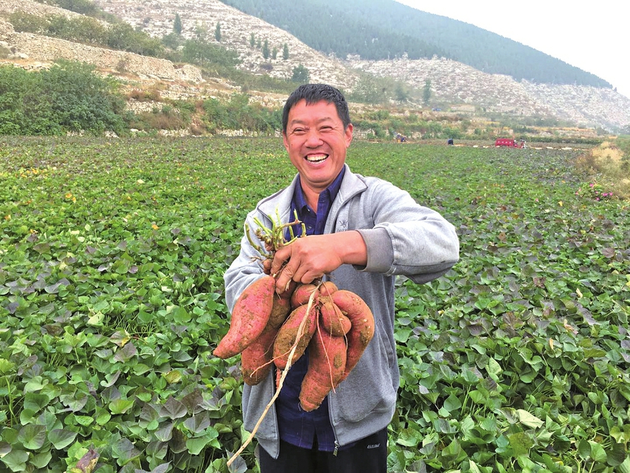 济南市农业农村局建机制、兴产业、树样板 奋力书写乡村振兴壮丽篇章