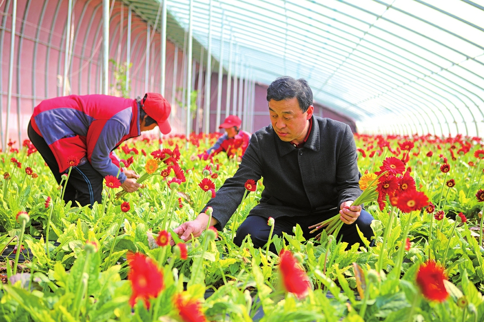 济南市农业农村局建机制、兴产业、树样板 奋力书写乡村振兴壮丽篇章