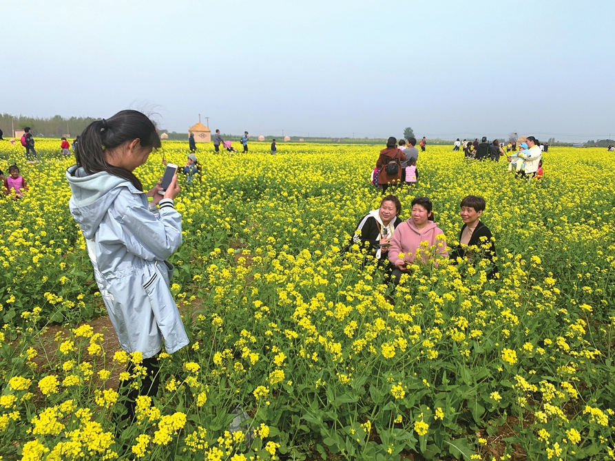 济南市农业农村局建机制、兴产业、树样板 奋力书写乡村振兴壮丽篇章