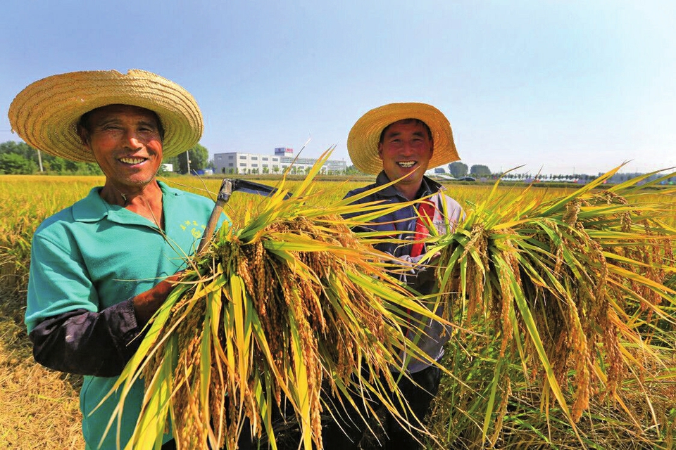 泉城的幸福就是这样的美好