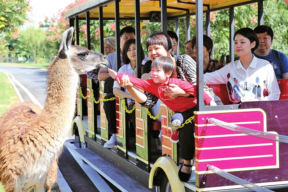 泉城的幸福就是这样的美好
