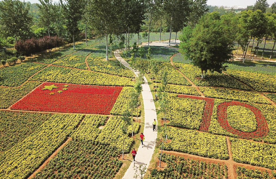 百萬株鮮花扮靚植物園迎國慶