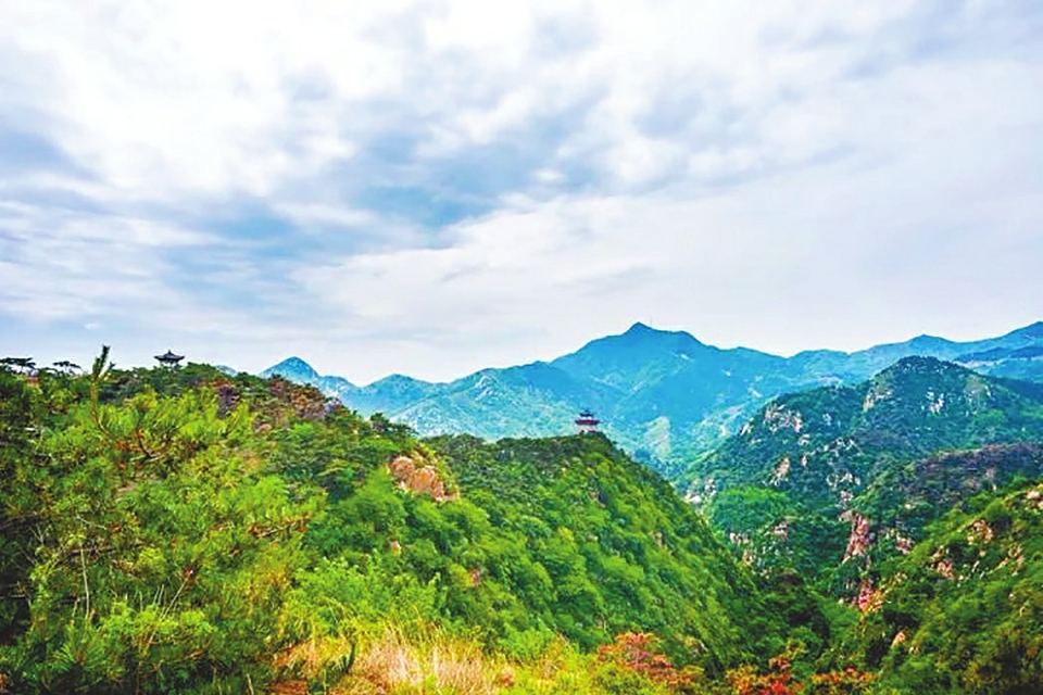 坚决打赢脱贫攻坚“莱芜战役” ——莱芜区脱贫攻坚工作综述