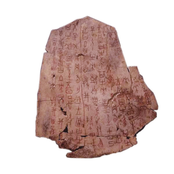 一片甲骨的“逆袭”之路