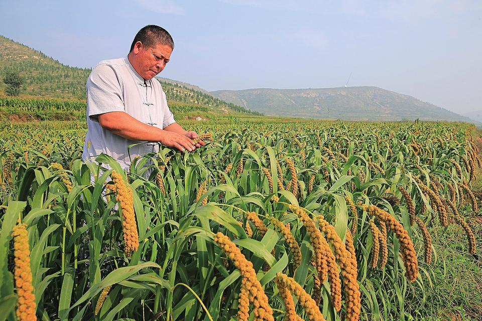 一碗米粉的“幸福味道”:赶过大集、进过大观园,如今有了门店