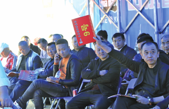 小锦鲤大身价 一尾拍出3.5万元