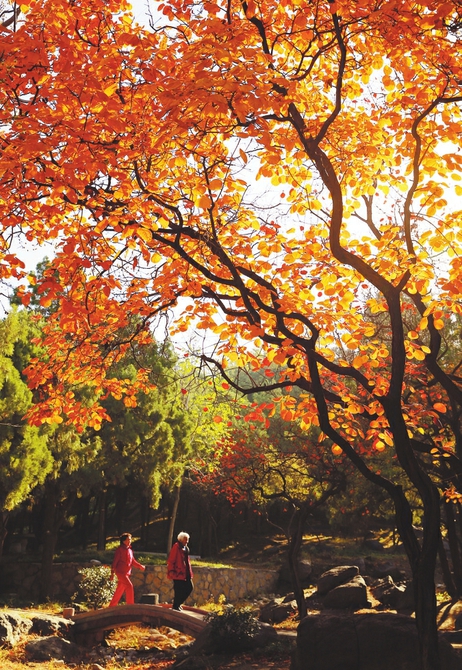 动物园里好风景