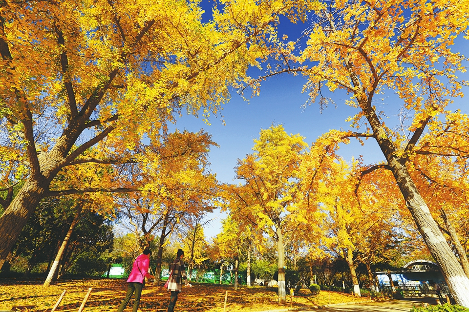 动物园里好风景