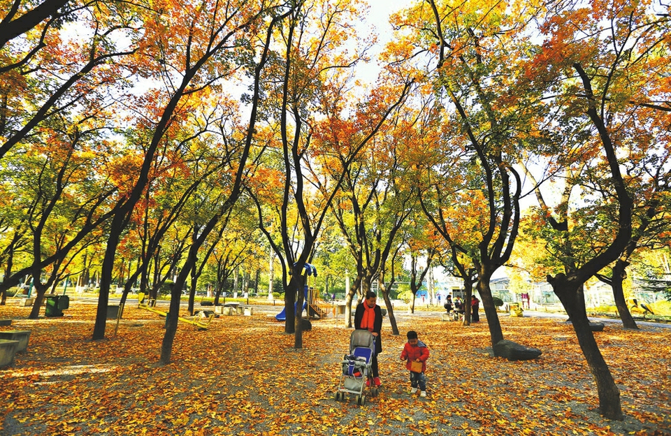 动物园里好风景