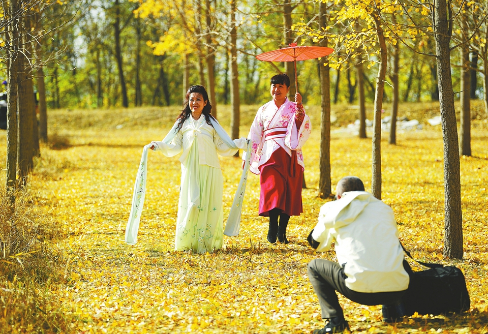 风起叶纷飞金色铺大地