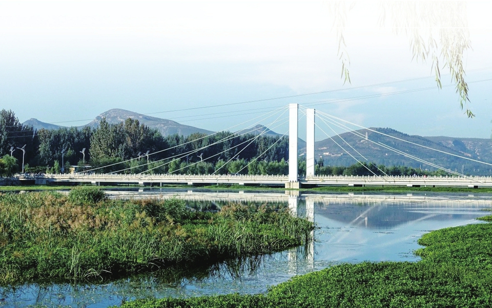 家文化奏响社会文明和谐曲 ——钢城区以家文化建设助推新时代文明实践综述