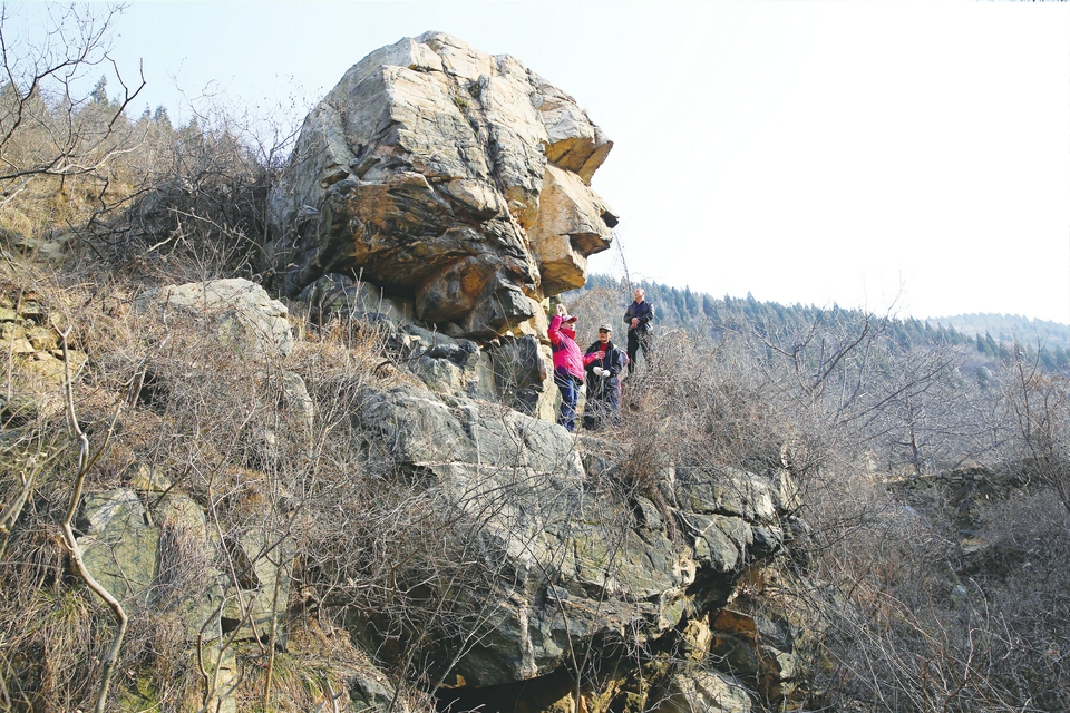 灵龟驮着“狮身人面像” 济南南部山区奇石引关注