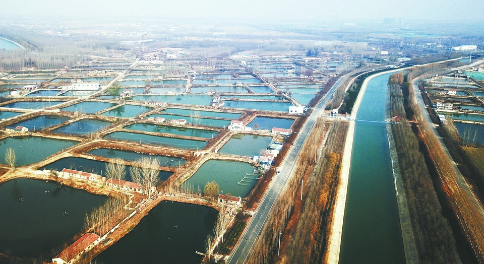 上下求索,方得“品质卓然”——奋斗2019“走在前列·扬起龙头”综述(四)