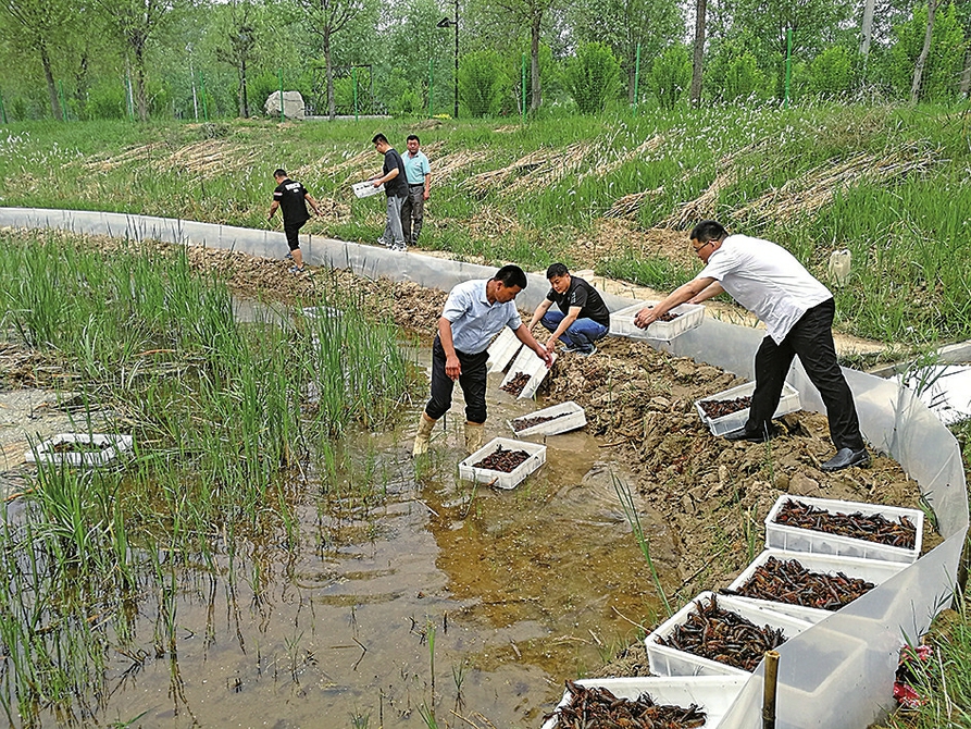 “接二连三”！济南跨界融合发展农业“新六产”