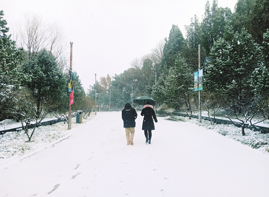 昨天以雾为令 今天闻雪而动