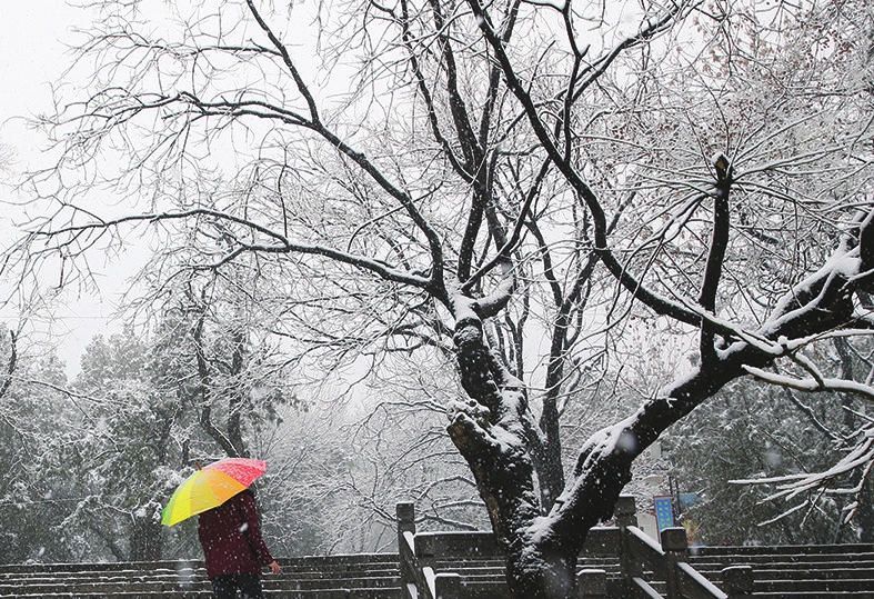 千佛山踏雪赏梅好醉人