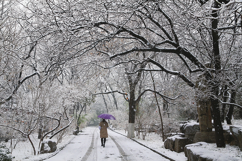 千佛山踏雪赏梅好醉人