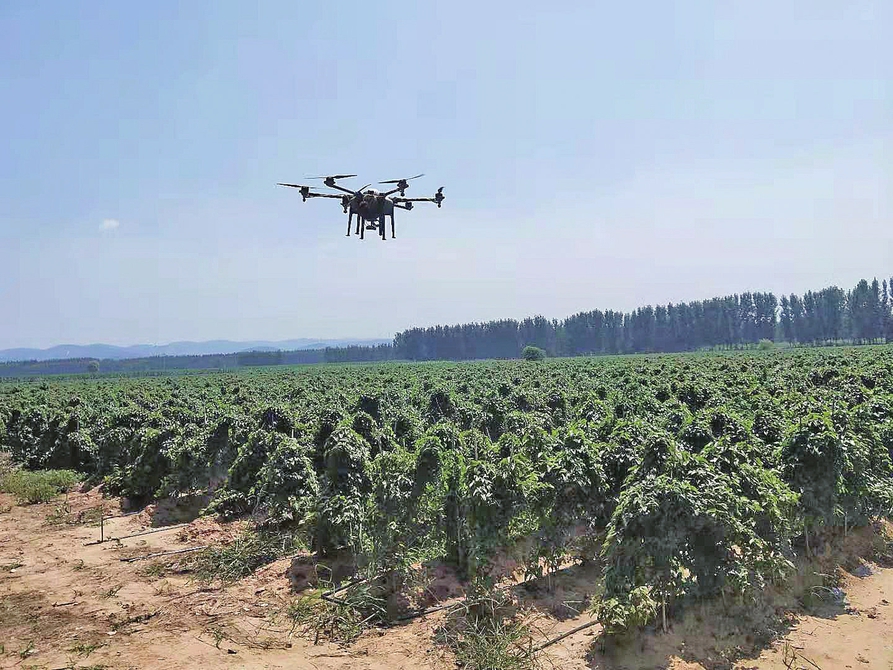 “都挺好” ——年近了,聆听乡村振兴的声音