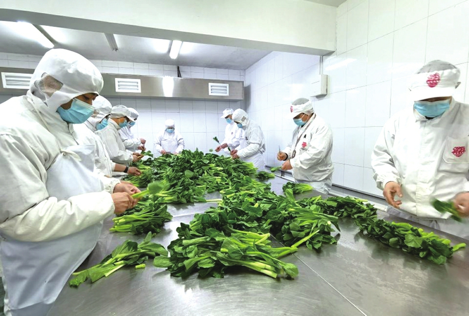 播下春雨助力企业茁壮成长