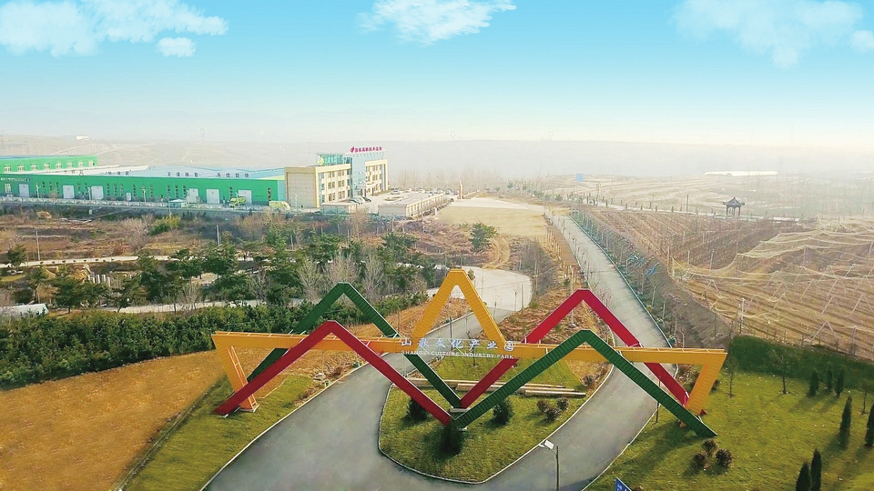 传承非遗老手艺 唱响山东老字号 科技创新让“山歌”更嘹亮