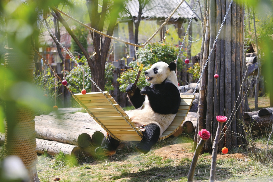 济南野生动物世界恢复开园首日 秩序井然防控不放松
