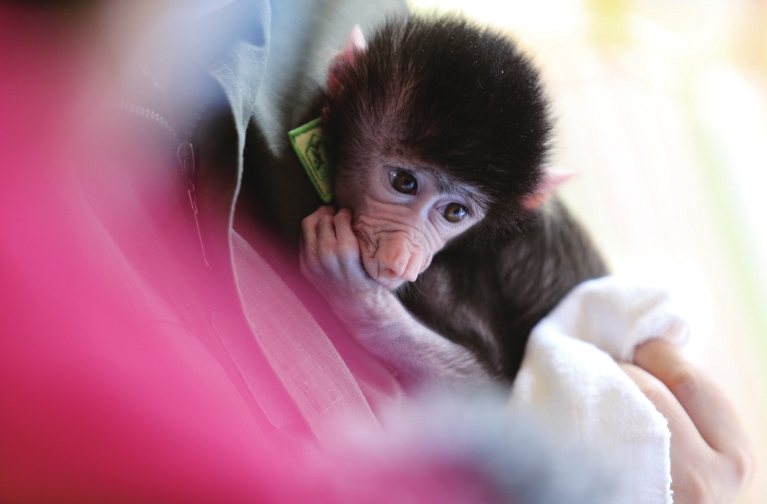 济南野生动物世界恢复开园首日 秩序井然防控不放松