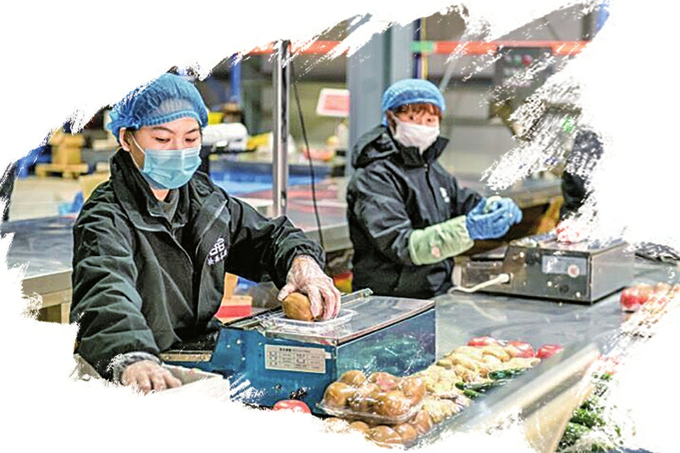 线上谈笑风生 线下步履匆匆 忙起来的新“卖菜翁”